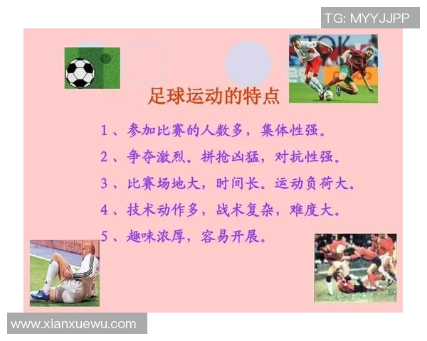 运动最新数据深圳足球队运营现状与未来发展趋势深度分析